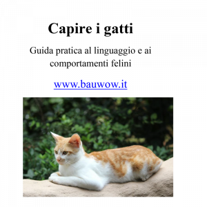 capire i gatti