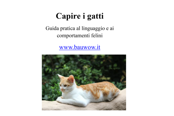 capire i gatti