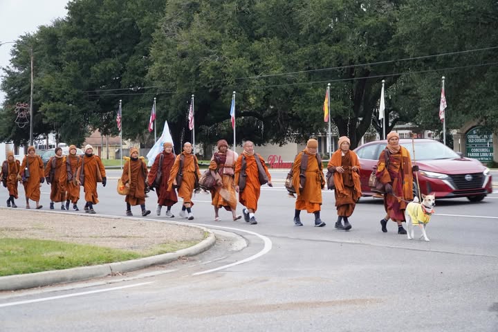 La camminata dei monaci per la pace e Aloka, il cane di luce che ha scelto di camminare con loro